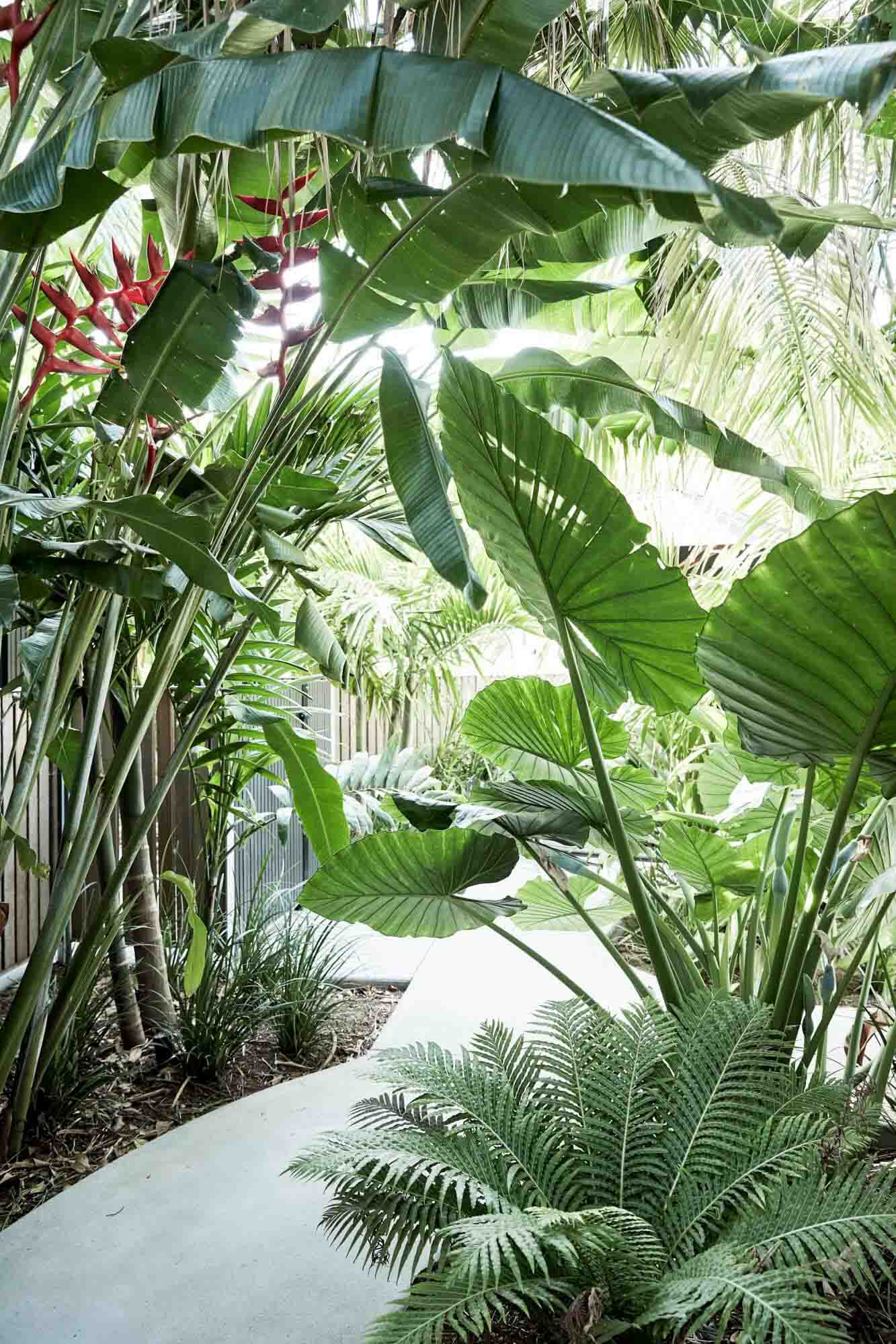 Lush tropical landscaping at The Bower Byron Bay