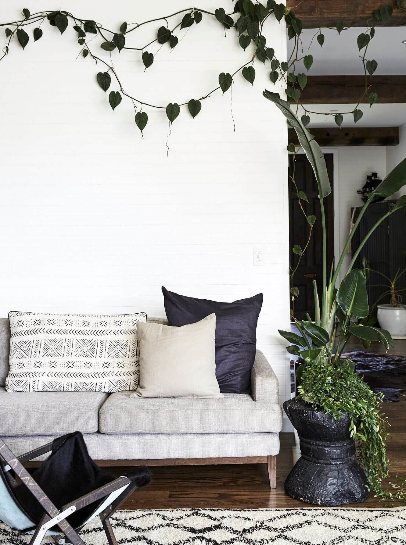 Lounge room at Magnolia House, Byron Beach Abodes with long hanging plants trailling the walls