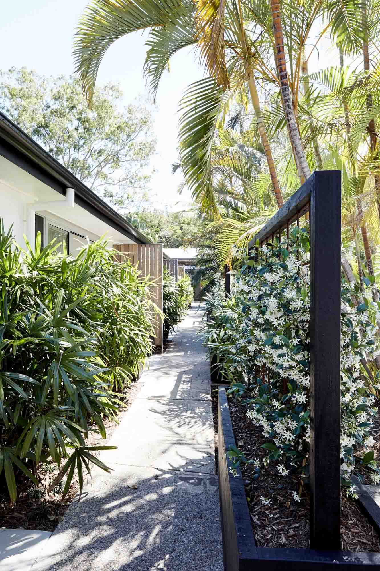 Star jasmine privacy screens outside The Bower Studios at The Bower Byron Bay hotel